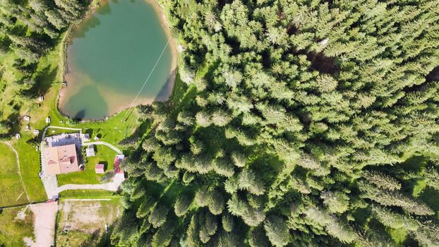 Overhead aerial view of beautiful mountain trees in summertime.