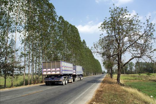 Agricultural trailer truck on the rural roads of Asia.