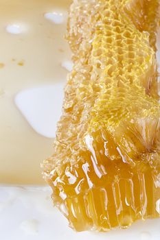 Pieces of honeycombs with organic honey on a white table