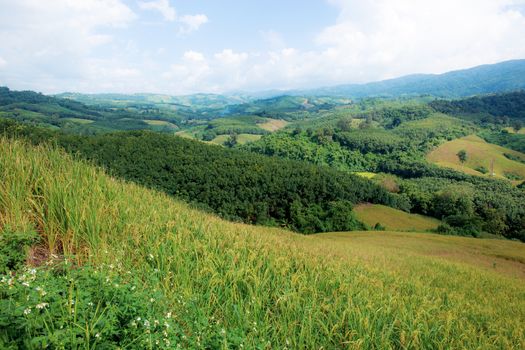 Nature of mountains in the rainy season with sky.