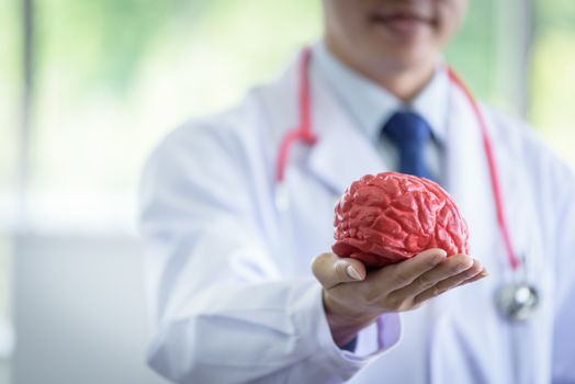Senior asian scientist man has holding brain model.