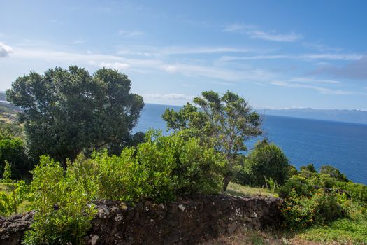 Walk on the Azores archipelago. Discovery of the island of sao jorge, Azores. Portugal , Velas
