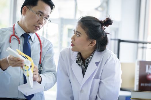 Asian teacher has teaching to student about science and anatomical in laboratory