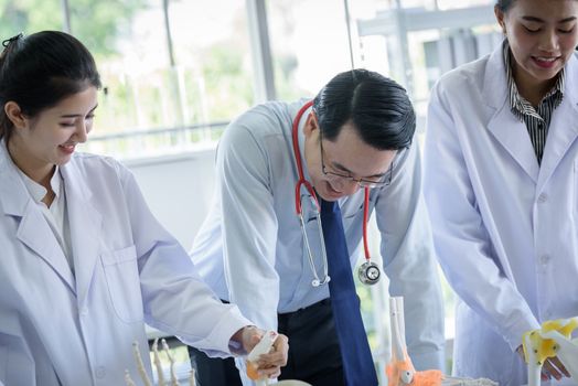 Asian teacher has teaching to student about science and anatomical in laboratory