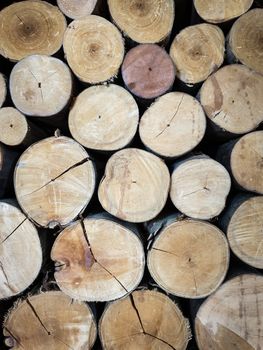 The  brown lumber abstract background with vertical view.