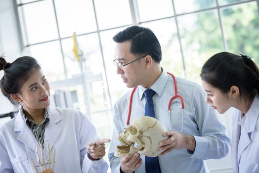 Asian teacher has teaching to student about science and anatomical in laboratory