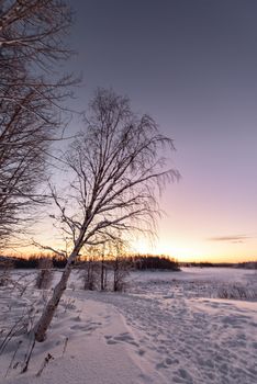 The ice lake and forest has covered with heavy snow and nice blue sky in winter season at Holiday Village Kuukiuru, Finland.