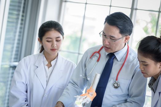 Asian teacher has teaching to student about science and anatomical in laboratory