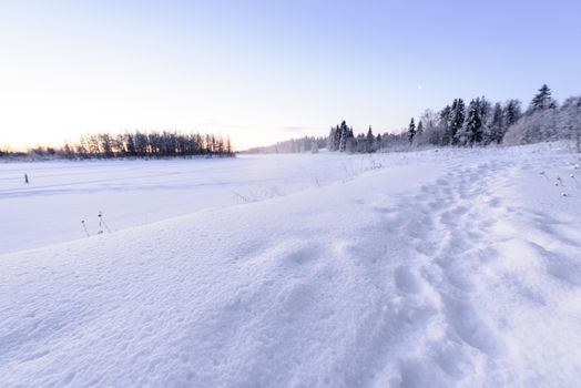 The ice lake and forest has covered with heavy snow and nice blue sky in winter season at Holiday Village Kuukiuru, Finland.