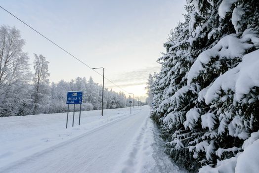 The forest has covered with heavy snow in winter season at Lapland, Finland.