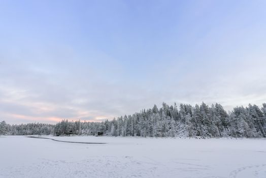 The forest has covered with heavy snow and bad weather sky in winter season at Oulanka National Park, Finland.