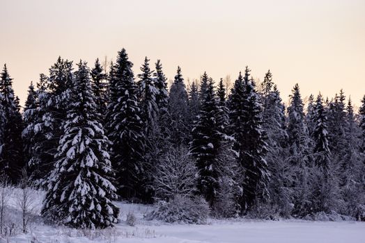 The ice lake and forest has covered with heavy snow and sunset sky in winter season at Holiday Village Kuukiuru, Finland.