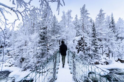 Tourist has walking alone in the forest with heavy snow covered and bad weather sky in winter season at Oulanka National Park, Finland.