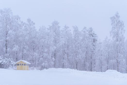 The yellow house in the forest has covered with heavy snow and bad sky in winter season at Tuupovaara, Finland.