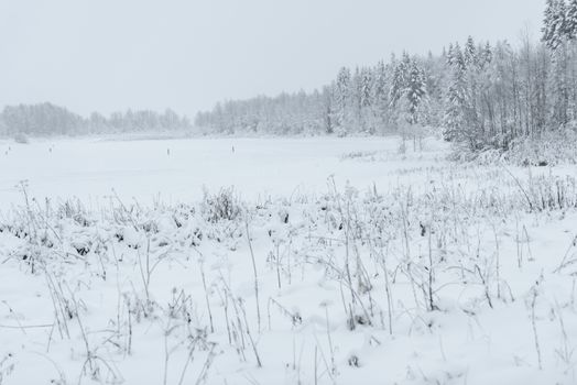 The ice lake and forest has covered with heavy snow and bad weather sky in winter season at Holiday Village Kuukiuru, Finland.