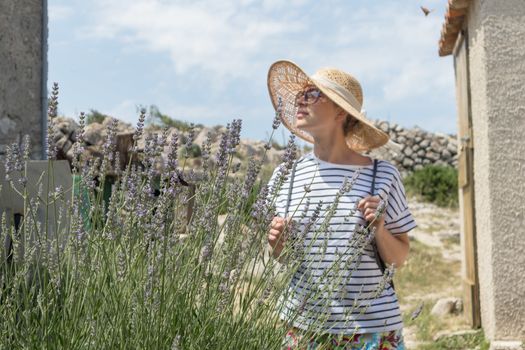 Beautiful blonde young female traveler wearing straw sun hat enjoying summer on Mediterranean cost strolling among lavender flowers on traditional costal village garden.