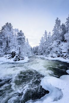 The river in winter season at Oulanka National Park, Finland.