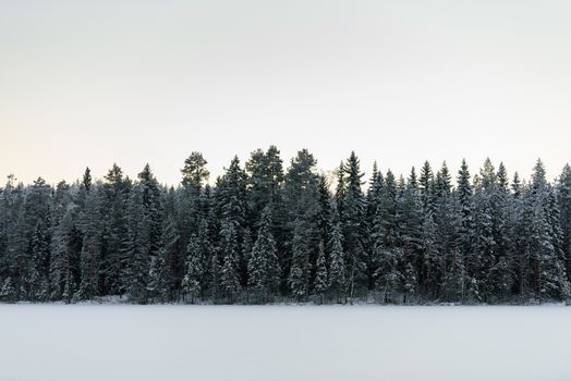 The forest on the ice lake has covered with heavy snow and sky in winter season at Lapland, Finland.