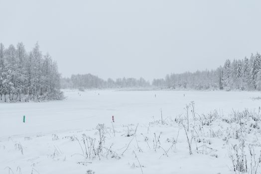 The ice lake and forest has covered with heavy snow and bad weather sky in winter season at Holiday Village Kuukiuru, Finland.