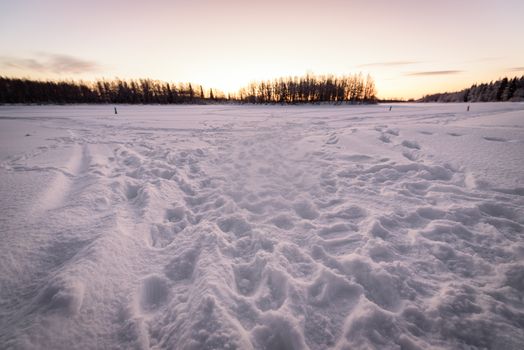 The ice lake and forest has covered with heavy snow and nice blue sky in winter season at Holiday Village Kuukiuru, Finland.