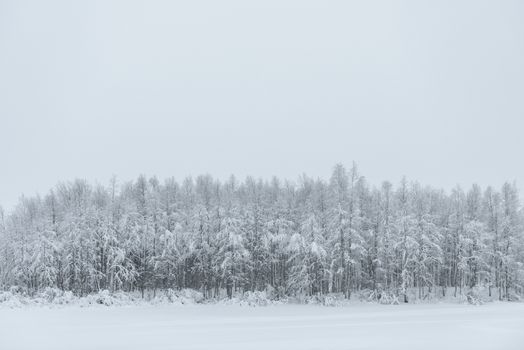 The ice lake and forest has covered with heavy snow and bad weather sky in winter season at Holiday Village Kuukiuru, Finland.