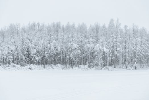 The ice lake and forest has covered with heavy snow and bad weather sky in winter season at Holiday Village Kuukiuru, Finland.