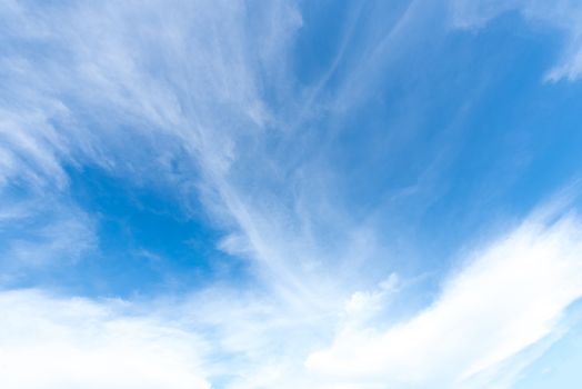 The nature of blue sky with cloud in the morning.