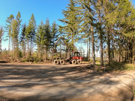 woodworking in the forest. cleaning fallen trees after a strong wind. heavy technique working in the forest. forest industry