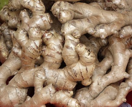 Fully grown fresh ginger roots for sale at a market stall