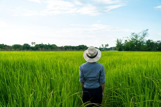 Behind a farmer woman standing in a rice field with a background sky