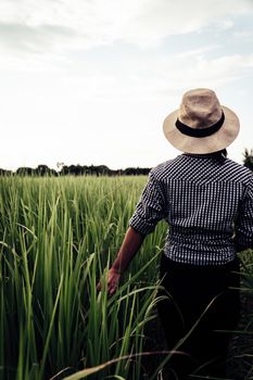 Behind the farmer woman walking in rice field with sky background