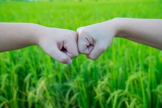 Boy and girl bumping hands to fist on the meadow background