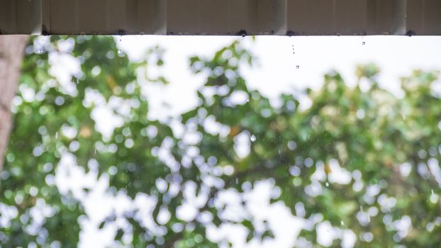 Rainwater spray that flows from the roof. On a blurred tree background