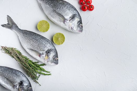 Raw set of sea bream or Gilt head bream dorada fish with herbs pepper lime tomato for cooking and grill on white background, top view with space for text