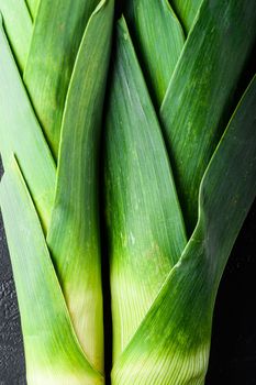 Organic green Leek onion on black textured background, top view