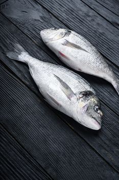 Raw whole pair dorado or sea bream fish ob black wooden table side view