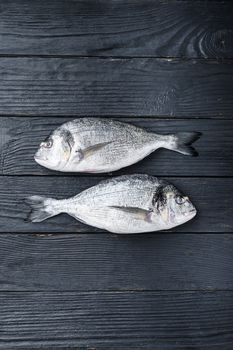 Raw whole pair dorado or sea bream fish ob black wooden background top view with space for text