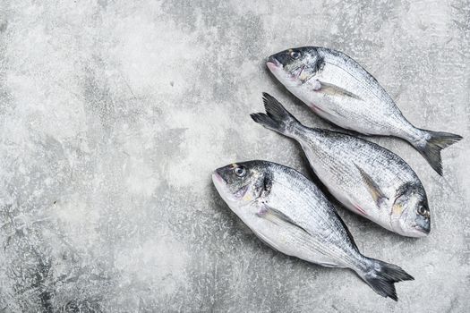 Whole dorado Sea bream fish with herbs for grill over textured grey background top view space for text