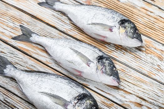 Set of raw dorado Sea bream fish over white wood table side view
