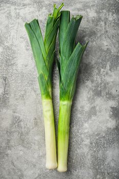 Organic green Leek onion on grey textured background, top view with space for text