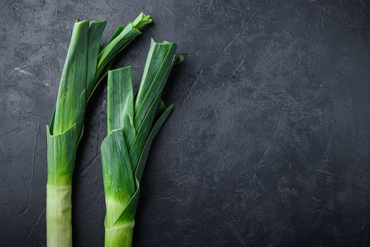 Organic Leek on black textured background, top view with space for text