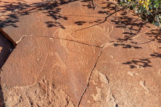 Rock engravings at Twyfelfontein in Damaraland, Namibia