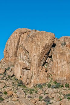 The Elephant Head rock at Ameib in the Erongo Region of Namibia