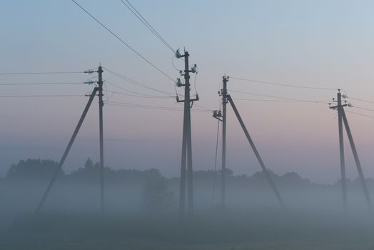 electric poles stand in a green field in summer