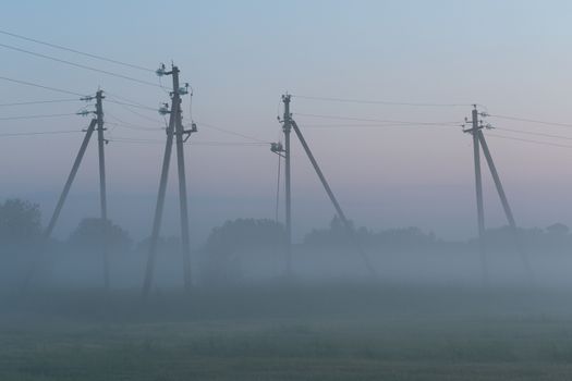 electric poles stand in a green field in summer