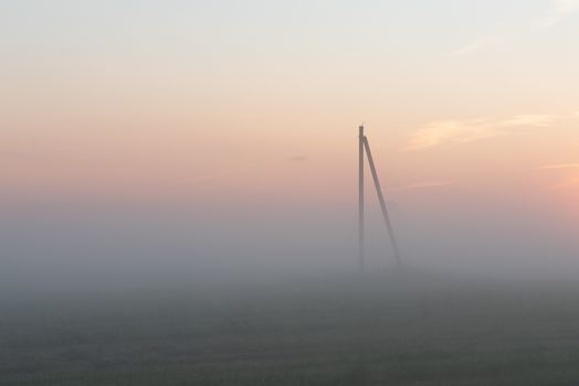 electric poles stand in a green field in summer