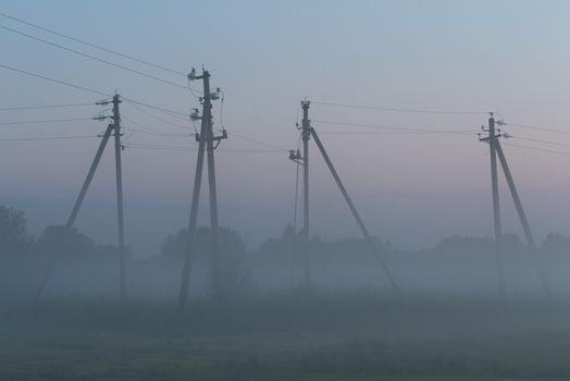 electric poles stand in a green field in summer