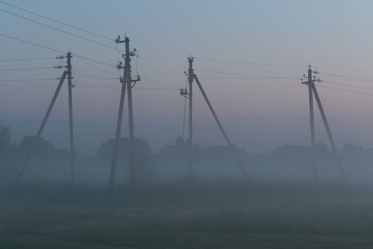 electric poles stand in a green field in summer