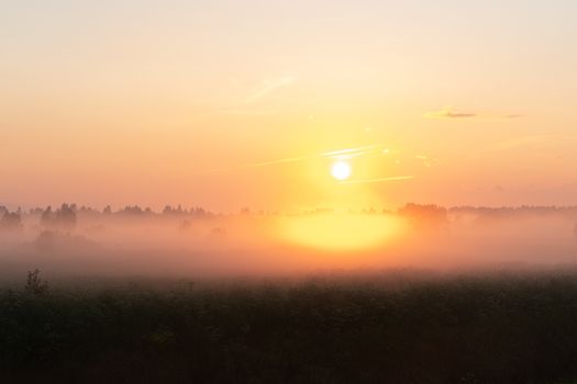 beautiful summer sunset in the field, orange sun over a field with grass