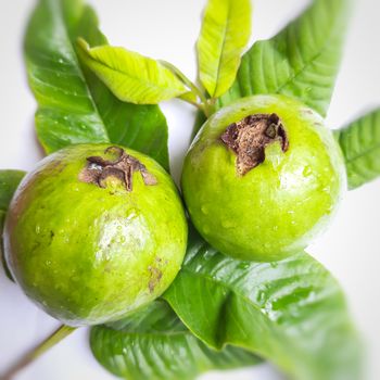 Green color guava with leaves arranged beautifully with white background plated with leaves and good for health and skin and Help Lower Blood Sugar Levels